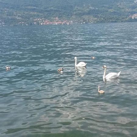 Appartamento Vista Lago - Betta Lezzeno Exteriör bild